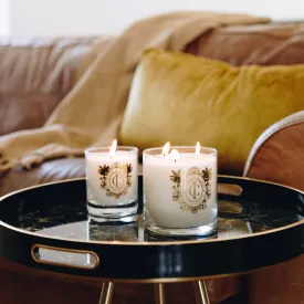 Cape Island Large Candle Safari Days