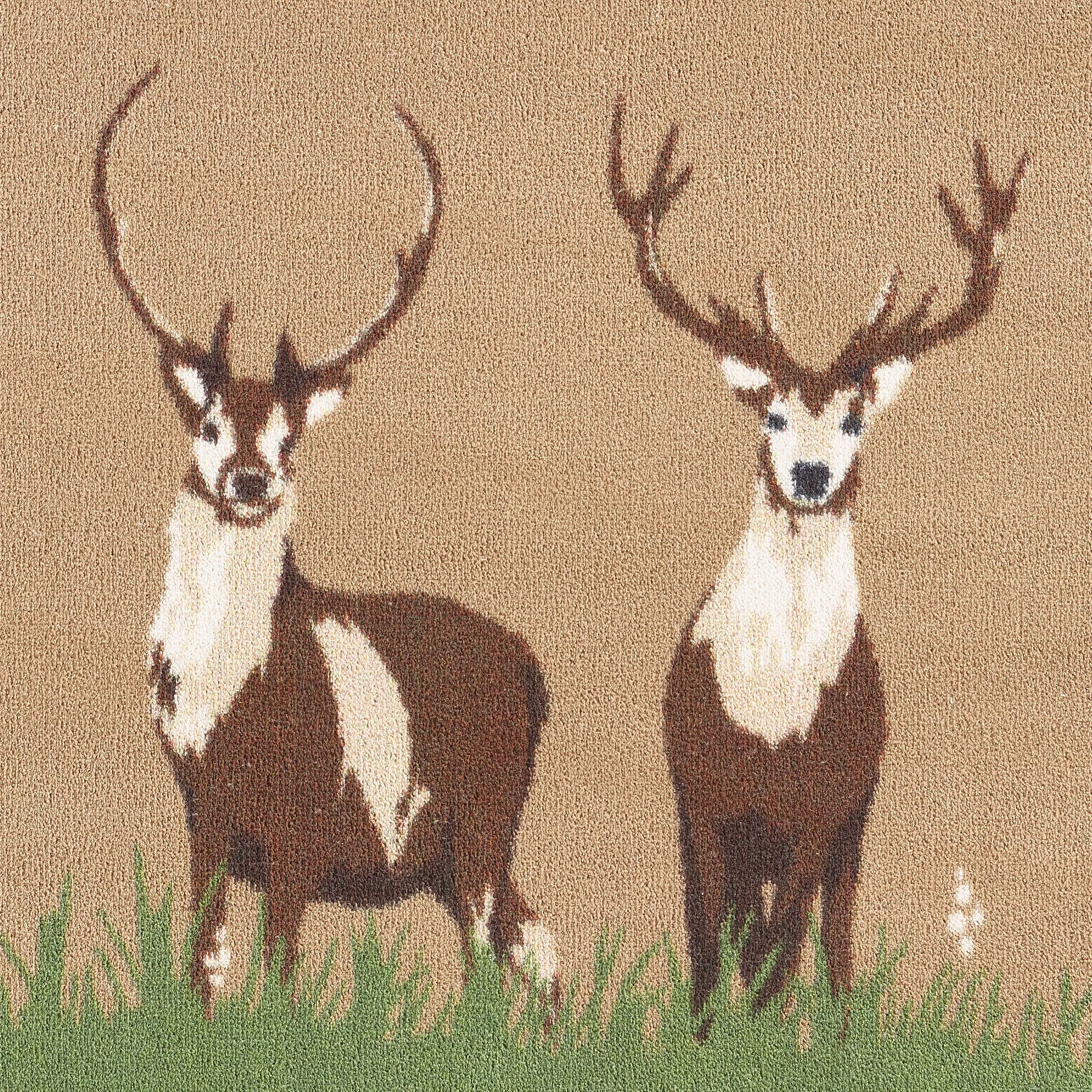 Deer 1