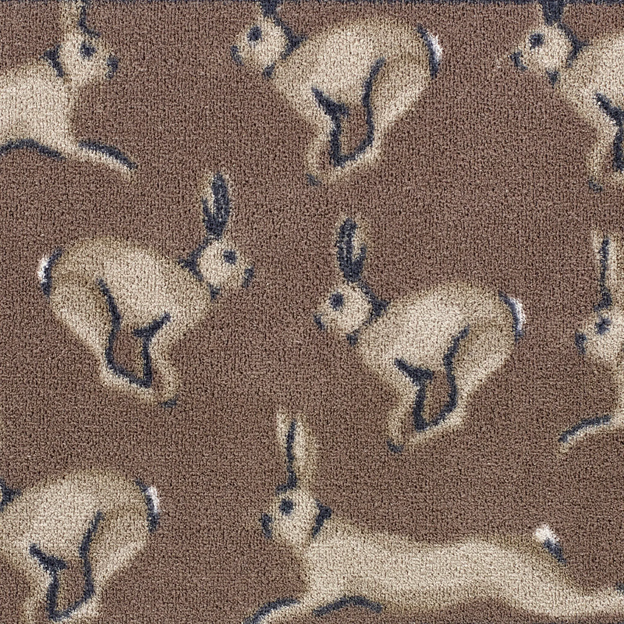 Hare 1