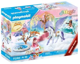 Magic Picnic with Pegasus Carriage