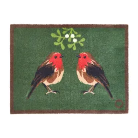 Robin 1